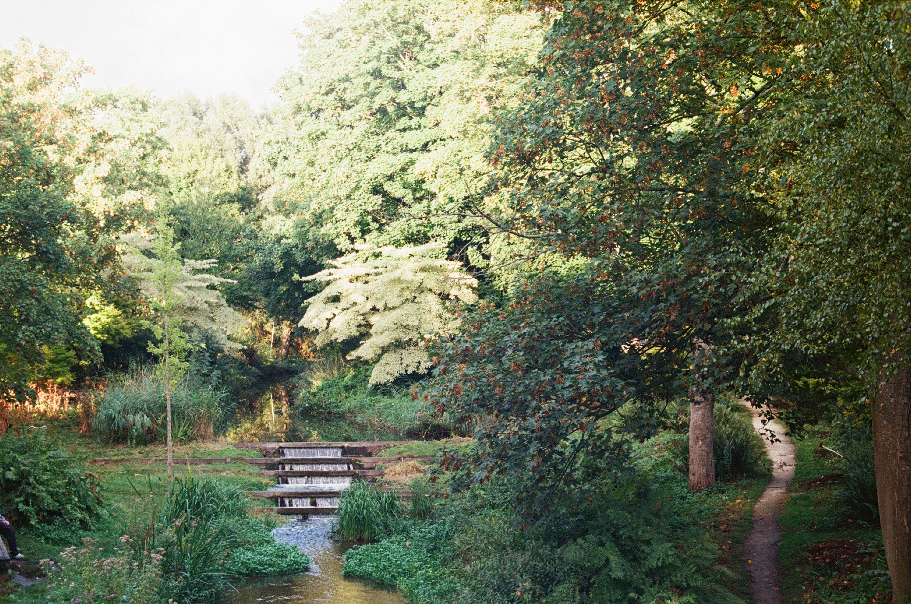 creek and path