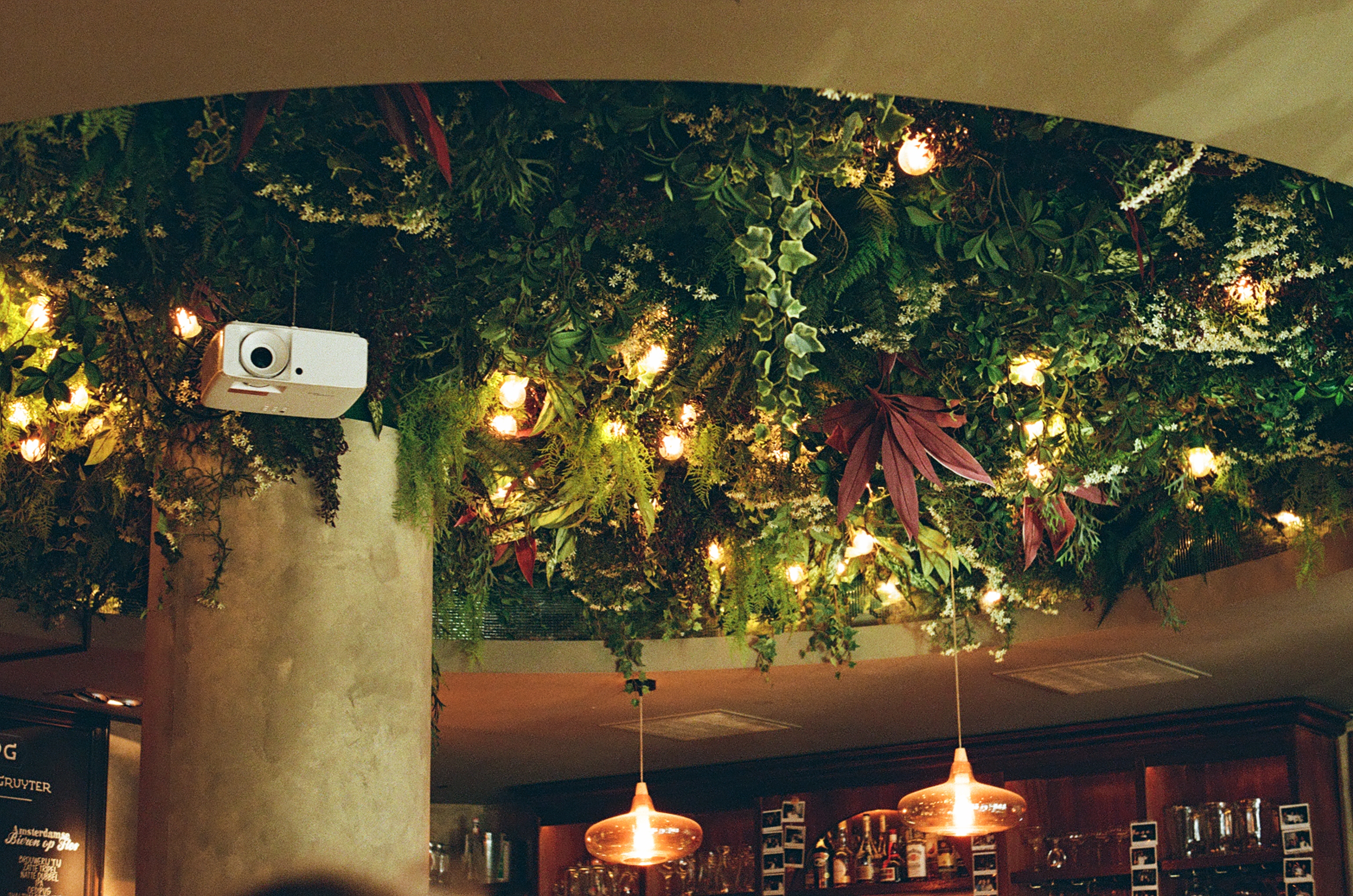 projector hanging from ceiling with plants and lights