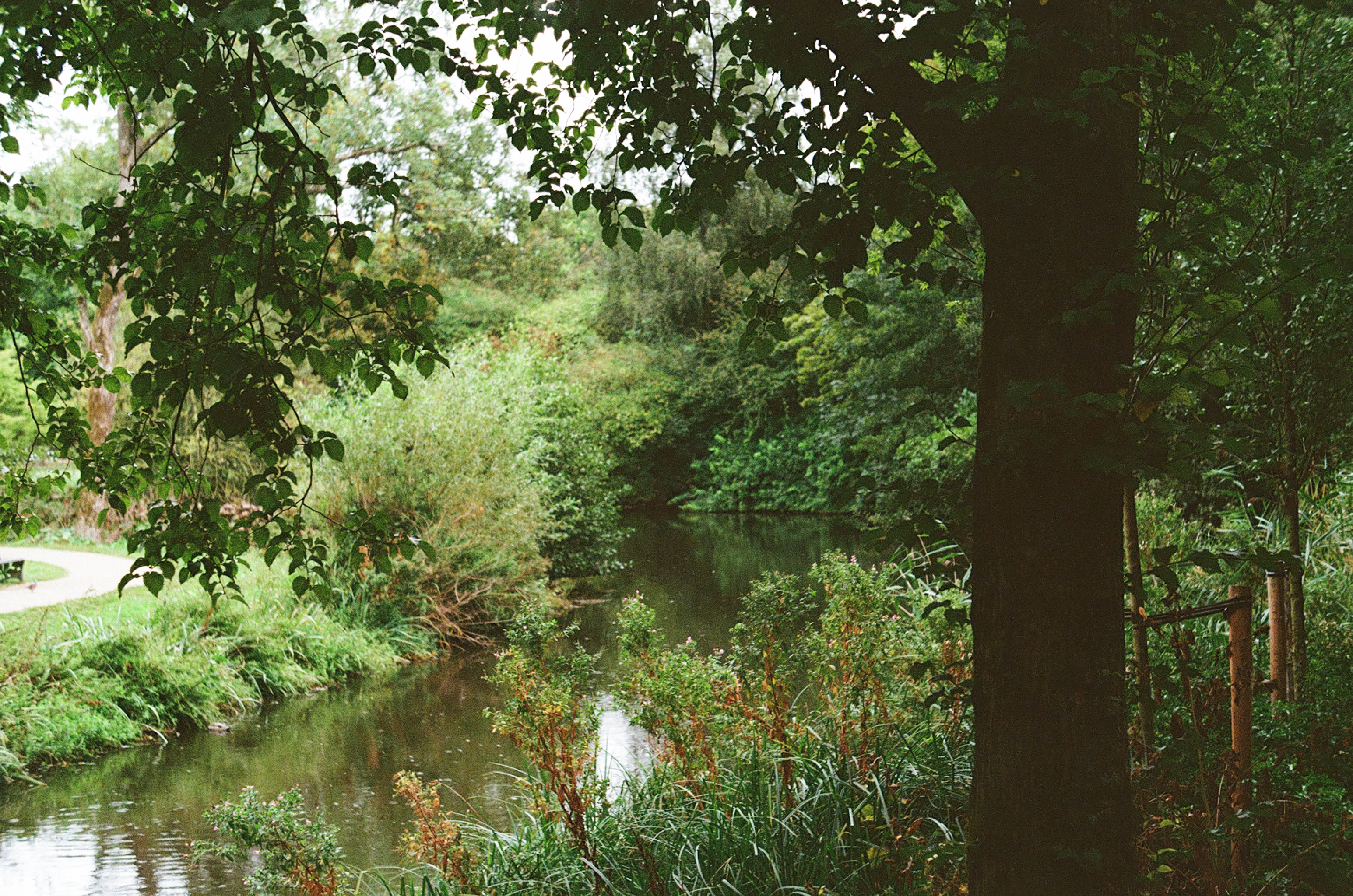 river in the rain