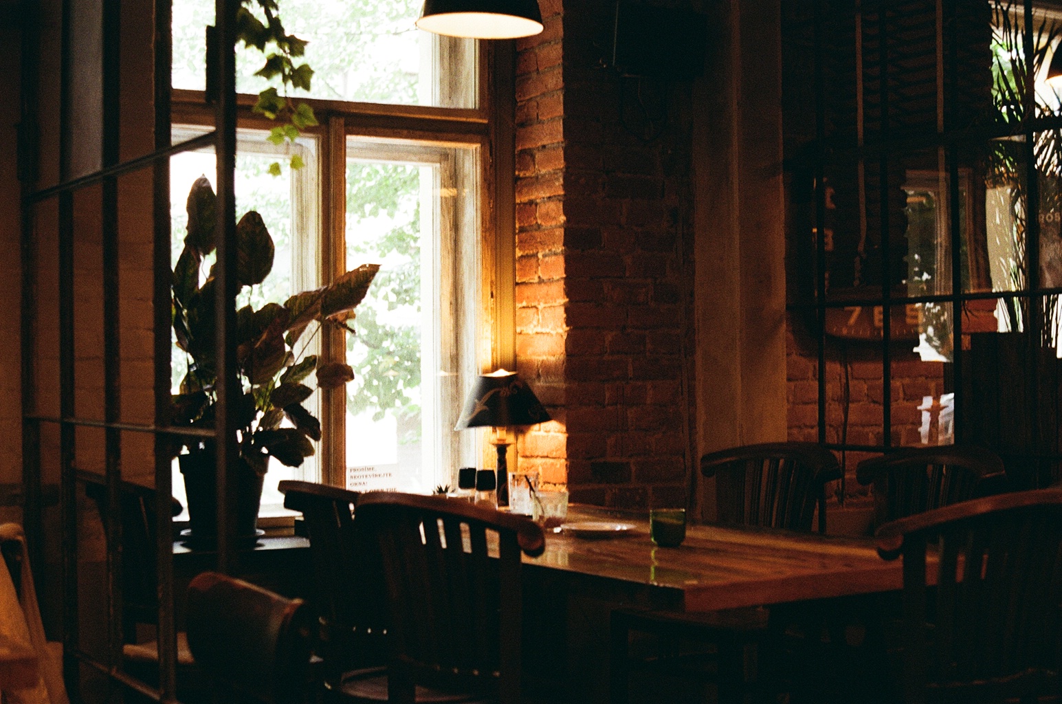 cafe